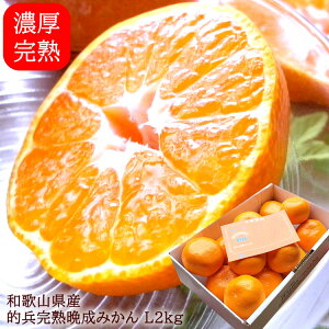 ݂ ~J Lc݂ B݂ cn݂  a̎RLcY[nI݂L2kg]1{o