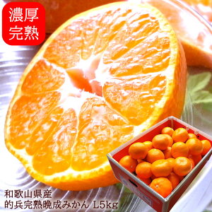 ݂ ~J Lc݂ B݂ cn݂  a̎RLcY[nI݂L5kg]1{o