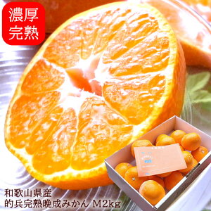 ݂ ~J Lc݂ B݂ cn݂  a̎RLcY[nI݂M2kg]1{o