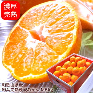 ݂ ~J Lc݂ B݂ cn݂  a̎RLcY[nI݂M5kg]1{o