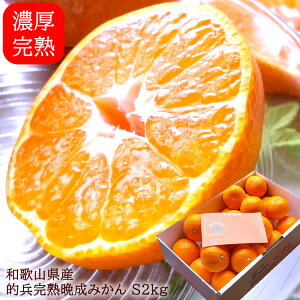 ݂ ~J Lc݂ B݂ cn݂  a̎RLcY[nI݂S2kg]1{o