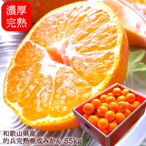 ݂ ~J Lc݂ B݂ cn݂  a̎RLcY[nI݂S5kg]1{o