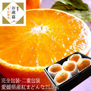 g܂ǂ g}hi QY [g܂ǂ2L5ʃMtg] 11{甭 Ε ~Mtg j oYj j ӗ ei   Cj  O yYMtg St