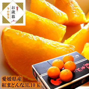 g܂ǂ g}hi QY [g܂ǂ3L10] Ε ~Mtg j oYj j ӗ ei   Cj  O yYMtg StRyii j 