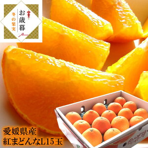 g܂ǂ g}hi QY [g܂ǂL15] Ε ~Mtg j oYj j ӗ ei   Cj  O yYMtg StRyii j 