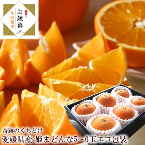 Ε p g܂ǂȓi  Q܂ǂ ܂ǂ QY [ Q܂ǂ5~6ʊS ] d t[c Ε  Q݂ g܂ǂ Ε GR