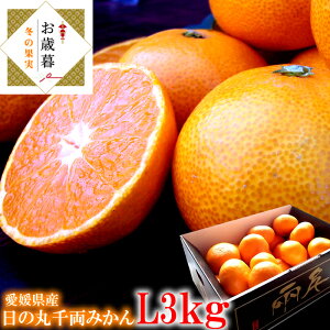 ݂ ̊ۂ݂ Q݂ Q Q~J Fa݂ QY [̊ې痼݂L3kg] Ε ~Mtg 11{菇JnłB