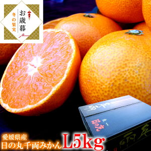 ݂ ̊ۂ݂ Q݂ Q Q~J Fa݂ QY [̊ې痼݂L5kg] Ε ~Mtg 11{菇JnłB