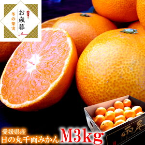 ݂ ̊ۂ݂ Q݂ Q Q~J Fa݂ QY [̊ې痼݂M3kg] Ε ~Mtg