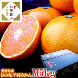 ݂ ̊ۂ݂ Q݂ Q Q~J Fa݂ QY [̊ې痼݂M5kg] Ε ~Mtg 11{菇JnłB