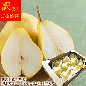 󂠂胋N`F `͈ĂA͈ꋉiBVւ錶̖A VY [󂠂胋EN`F2kg8`9]