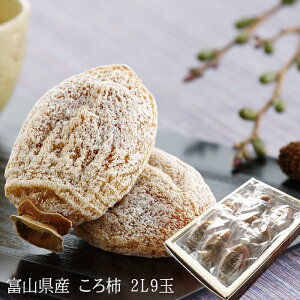 Ε xR̊` xR̂` `  JL ` ق [ xR`2L9 ] 12{蔭Jn t[cMtg