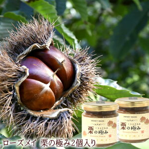 栗 ギフト ジャム コンフィチュールの人気商品 通販 価格比較 価格 Com