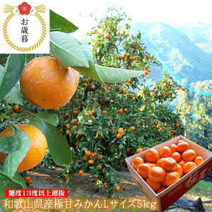 cӋɓV݂ ÂЂ낤݂ LcNIeB[݂ x݂񌵑I a̎RY[ɊÂ݂L5kg]