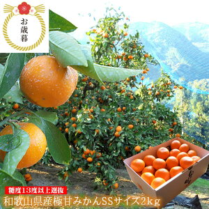 cӋɓV݂񉺒ÂЂ낤݂LcNIeB[݂ x݂񌵑I x݂񌵑I a̎RY[ɊÂ݂SS2kg]