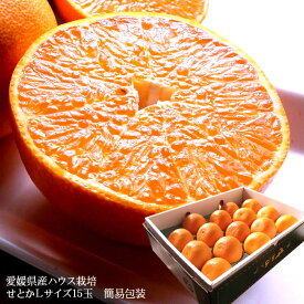 せとか みかん 大トロ 送料無料 フルーツギフト 送料無料 濃厚な甘味が自慢！愛媛県産 [せとかL15玉簡易包装]内祝い お祝い お見舞い お供え