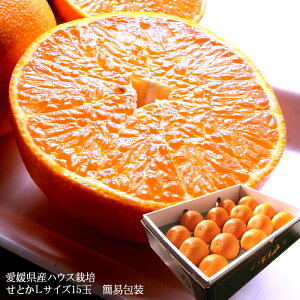 Ƃ ݂ g  t[cMtg  ZȊÖIQY [ƂL15ʊȈՕ]j j  