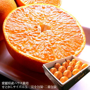 Ƃ ݂ g  t[cMtg  ZȊÖIQY [ƂL15ʊS] d j j  