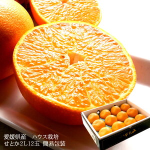 Ƃ ݂ g  t[cMtg  `Ɖʏ`ՂÂځIQYɏ[Ƃ2LTCY12ʊȈՕ] j j  