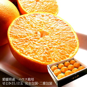 Ƃ ݂ g  t[cMtg  `Ɖʏ`ՂÂځIQYɏ[Ƃ2LTCY12ʊS] d j j  