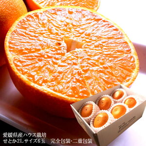 Ƃ ݂ g  t[cMtg  ҂𗠐؂ȂȊÖ􈤕QYɏ[Ƃ2L6ʊS] j j  