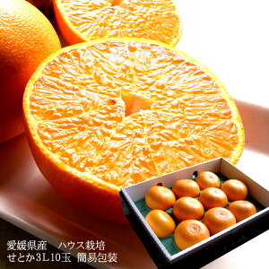 Ƃ ݂ g  t[cMtg  `Ɖʏ`ՂÂځIQYɏ[Ƃ3LTCY10ʊȈՕ] j j  