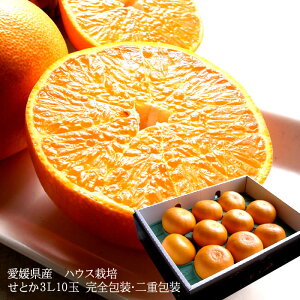 Ƃ ݂ g  t[cMtg  `Ɖʏ`ՂÂځIQYɏ[Ƃ3LTCY10ʊS] d j j  