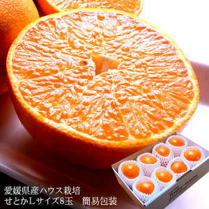 Ƃ ݂ g  t[cMtg  ZȊÖIQY[ƂL8ʊȈՕ] j j  