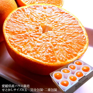 Ƃ ݂ g  t[cMtg  ZȊÖIQY[ƂL8ʊS] d j j  