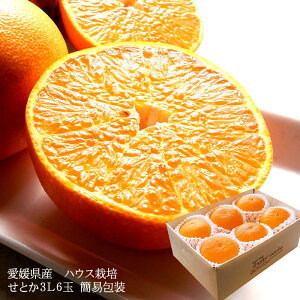 Ƃ ݂ g  t[cMtg  `Ɖʏ`ՂÂځIQYɏ[Ƃ3LTCY6ʊȈՕ] j j  