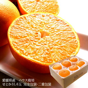 Ƃ ݂ g  t[cMtg  `Ɖʏ`ՂÂځIQYɏ[Ƃ3LTCY6ʊS] d j j  