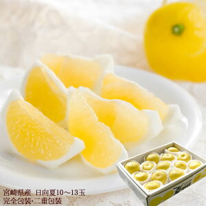  ЂイȂ ݂  {茧Y[10`13ʊS] d j oYj j ӗ ei   Cj  O yYMtg StRyi