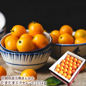 {芮n܂ 񂩂 LJ  n񂩂 ܂܃GNZg  x18xȏ㌵IoׁI{芮n񂩂 ܂ [ GNZg2L1kg ] r^~Cێ