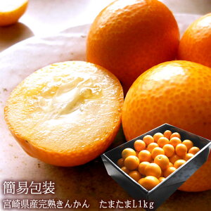 {芮n܂ 񂩂 LJ  n񂩂 ܂  x16xȏ㌵IoׁI{芮n񂩂 [ ܂L1kg ] r^~Cێ