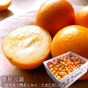 {芮n܂ 񂩂 LJ  n񂩂 ܂  x16xȏ㌵IoׁI{芮n񂩂[ ܂L3kg ] r^~Cێ Ɖu̓Abv