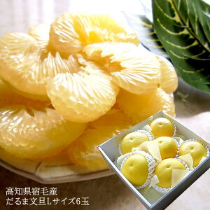 mhюY [ܕU6ʊp] z~nU x11xȏIo  j oYj av[g j   Cj  2{o׊Jn