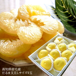 mhюY [ܕU9] z~nU x11xȏIo  j oYj av[g j   Cj  2{o׊Jn