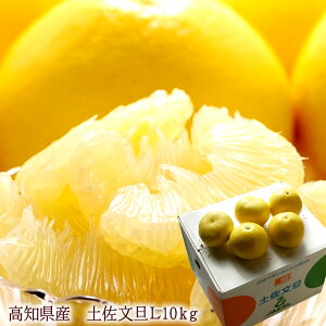 U Ԃ񂽂 ݂ yU  mY[yULy10kgz]