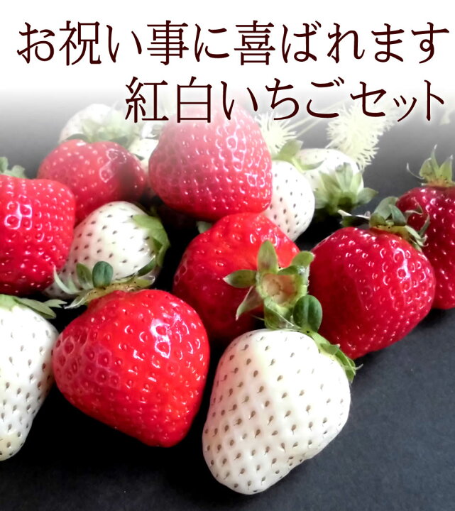楽天市場 紅白いちごセット お祝い事 内祝いに喜ばれます 紅白いちごセット10粒 あまおう まりひめ さちのか パールホワイト 白い宝石 天使の苺 内祝い 出産内祝い 誕生日プレゼント お祝い お礼 お見舞い 快気祝い お供え 手土産ギフト ご結婚お祝い 結婚内祝い 寿