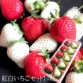 楽天市場 苺 宝石 食品 の通販 楽天市場 苺 宝石 食品 の通販