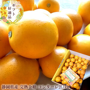 񑾂񂩂 R^[ LJ  ÉYn񂩂 [R^[2L1kg] n nLJ 2{납̏i