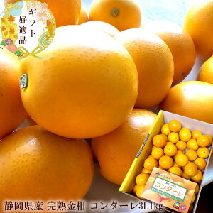 񑾂񂩂 R^[ LJ  ÉYn񂩂 [R^[3L1kg] n nLJ 2{납̏i