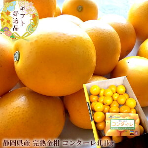 񑾂񂩂 R^[ LJ  ÉYn񂩂 [R^[4L1kg] n nLJ 2{납̏i