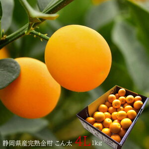 񑾂񂩂 LJ  ÉYn񂩂 [4LTCY1kg] n nLJ 2{납̏i