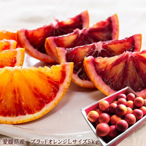 ̃IWƌĂ΂鍑YubhIW QY[ubhIW5kg]  ^bR 2{o׊Jn