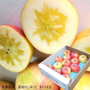 ݂ R~c  胊S XY[󂠂肱݂9~13]  MtgΉs