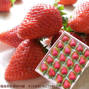 2025年1月中旬より発送開始 さくらももいちご 桜桃苺 サクラモモイチゴ 徳島県佐那河内さくらももいちご いちご イチゴ 苺 プレミアム お取り寄せ 取り寄せ 取寄せ バレンタイン バースデー