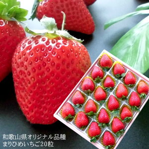 a̎R̃IWii [܂Ђ߂20] {P ܂P j oYj av[g j   Cj  yYMtg StRyii j 