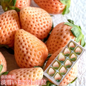 12{蔭Jn WsN̊󏭕i ޗǌY [WႢ2L10] 䂫 j oYj av[g j   Cj  yYMtg StRyi