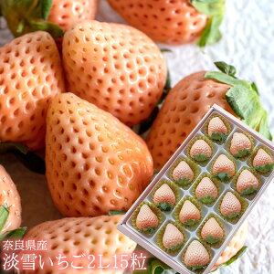 12{蔭Jn WsN̊󏭕i ޗǌY [WႢ2L15] 䂫 j oYj av[g j   Cj  yYMtg StRyi